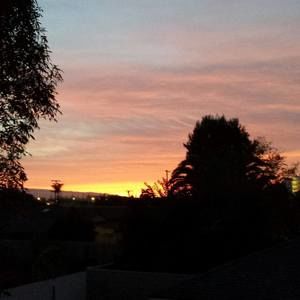 Meet your Posher, Albert